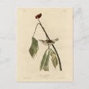 Recherche de louisiana cartes postales Illustration