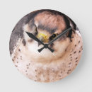 Recherche de lanie posters Oiseaux