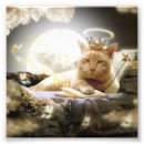 Recherche de photo copies de chat Pour tous