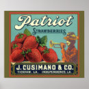 Recherche de fruit vintage posters Baies