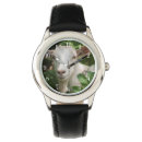 Recherche de chèvres montres Animal