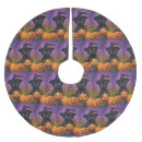 Recherche de sorcière jupon de sapin Halloween