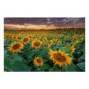 Recherche de gisement d posters Paysage