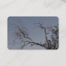 Recherche de magasin de jardin cartes visite Toute personne