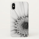 Recherche de marguerite africaine iphone coques Photographie