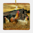 Recherche de poules ornements Poulailler