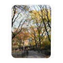 Recherche de arbre de chute vœux cartes Photographie