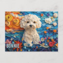 Recherche de chien de frise bichon cartes postales Portrait