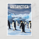 Recherche de pingouin antarctique cartes postales Nature