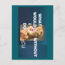 Recherche de charmant cartes postales Chat