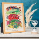 Recherche de pêche plaques Illustration