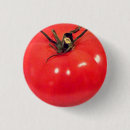 Recherche de tomate badges Sain