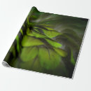 Recherche de serbie papier cadeau Motif