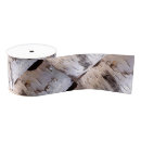 Recherche de écorce de bouleau rubans Blanc