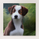Recherche de border collie puzzles Chiot