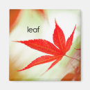 Recherche de arbre japonais magnets Feuille