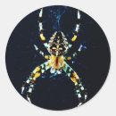 Recherche de orbital autocollants Arachnide