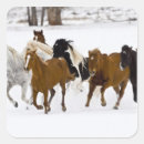 Recherche de petit galop autocollants Hiver