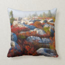 Recherche de image de couleur coussins Feuille