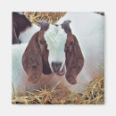 Recherche de chèvre mignonne magnets Chèvres
