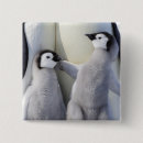 Recherche de young badges Animal