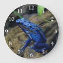 Recherche de de mur de grenouille Animal