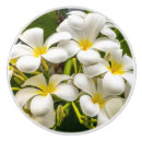 Recherche de tropical boutons et poignées de porte Île