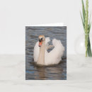 Recherche de cygne muet vœux cartes Blanc
