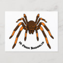 Recherche de arachnide cartes postales Tarantula