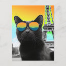 Recherche de chat paris cartes postales Mignon