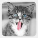 Recherche de yeux mignons autocollants Photographie