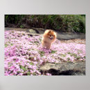 Recherche de poms posters Jeune fille