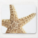 Recherche de animal mort tapis souris Vie marine