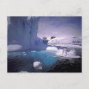 Recherche de steins posters Antarctique