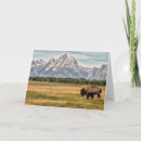 Recherche de jackson hole cartes postales Paysage