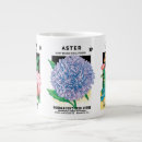 Recherche de paquet tasses Rétro