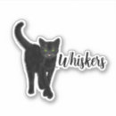 Recherche de yeux verts de chat autocollants Chaton