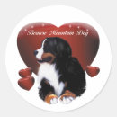 Recherche de berner autocollants Chiens