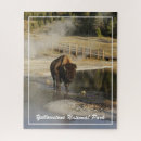 Recherche de yellowstone puzzles Faune