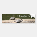Recherche de tortues voiture autocollants Animaux