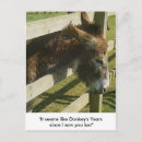 Recherche de donkey cartes postales Humour