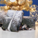 Recherche de hibou papier cadeau Animal