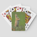Recherche de comportement jeux de cartes Faune