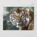Recherche de panthera cartes postales Zoo