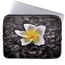 Recherche de hawaïen coques Plumeria