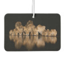 Recherche de avec des points voiture accessoires Animal