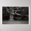 Recherche de oaks posters White