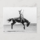 Recherche de noir de cheval blanc cartes postales Historique