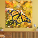 Recherche de papillon monarque art Fleur d'été