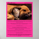 Recherche de rime posters Pour tous